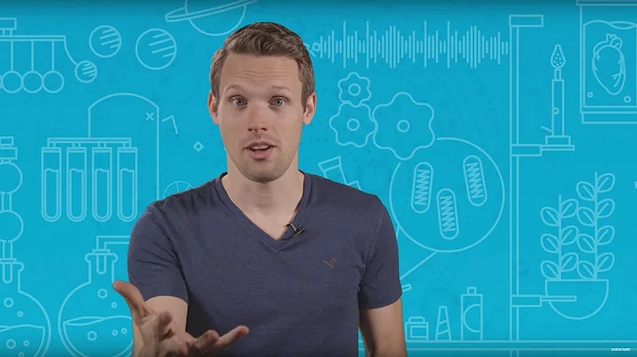 How Undersea Internet Cables Carry The Internet Across The Ocean | Earth Science