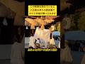 ✨この映像を眺めていると八百萬の神々の御加護で次々と幸福が舞い込みます🌈【出雲大社 神等去出祭】 #運気上昇 #スピリチュアル #パワースポット #遠隔参拝