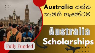 Don't Miss Out on Australian Scholarships: Apply Today!!! #scholarship #scholarships2023