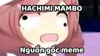 Hachimi Mambo  Ngun Gc Meme