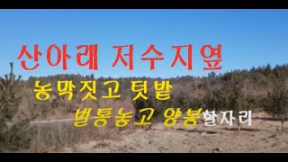 (No141) 농막짓고 텃밭하면서 양봉할수 있는 저수지 아래  시골땅 급매!