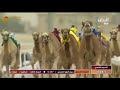 ش4 شهاليل ل ناصر عبدالله المسند مهرجان سمو امير البلاد المفدى 2017 3 14 شوط السيف الفضي 