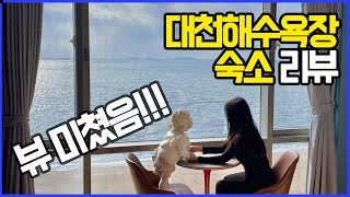 대천여행 숙소 리뷰‼️(파레브호텔, 대천해수욕장 맛집)