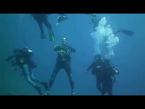 Tortuga Diving Portofino alla Punta dell'Indiano