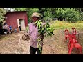 Country Style Cooking 