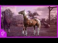 Red Dead Redemption 2 Upgrades to Horse 2.0