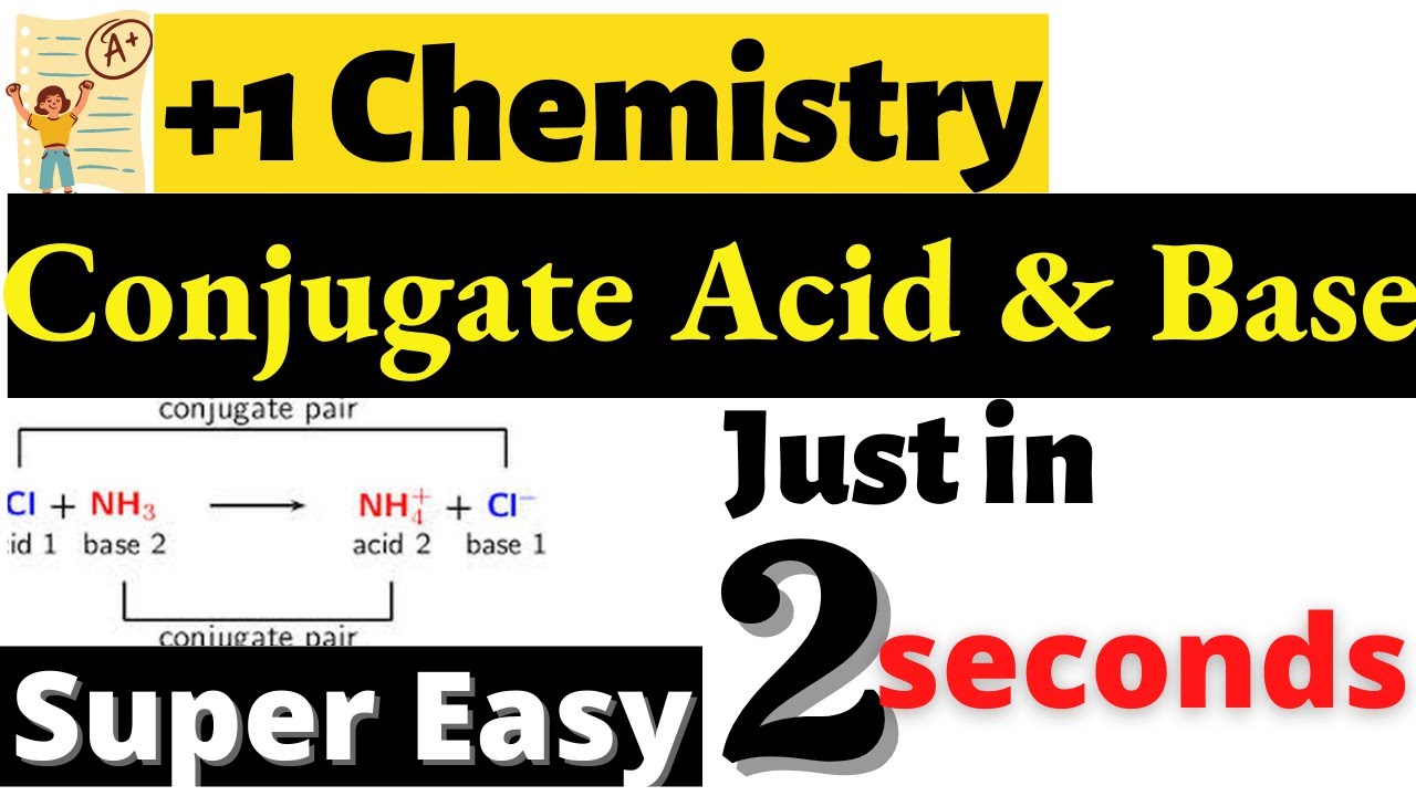 plus one chemistry equilibrium focus area | plus one chemistry focus area  