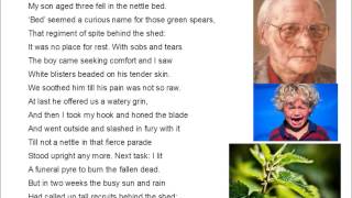 Nettles by Vernon Scannell
