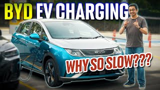 Why is the BYD Dolphin/Atto 3 slow to charge? Here's why | EV Guide