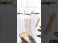 external organs part-4 legs #viralvideo#ytshorts#shortsfeed#legs #bodyparts #externalorgans