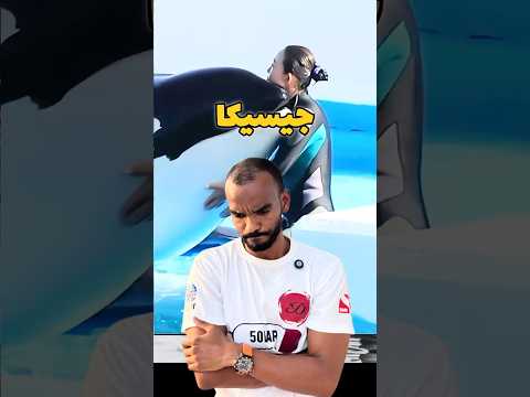 قصه جيسيكا و حوت الاوركا حقيقية ولا  غوص  