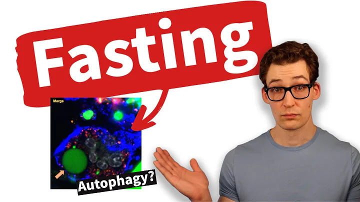 Fasting & Inflammation: A Story of Autophagy? [Science Explained] - DayDayNews