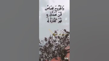 سورة المائده الايه 45-46