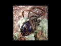 Purple Sea Sediment Jasper wrapped in Antiqued Copper Wire, Unique Handmade Wire Wrapped Jewelry