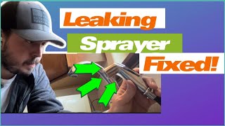 How to Replace a Sink Sprayer in Minutes! (Moen) #diy #plumbing