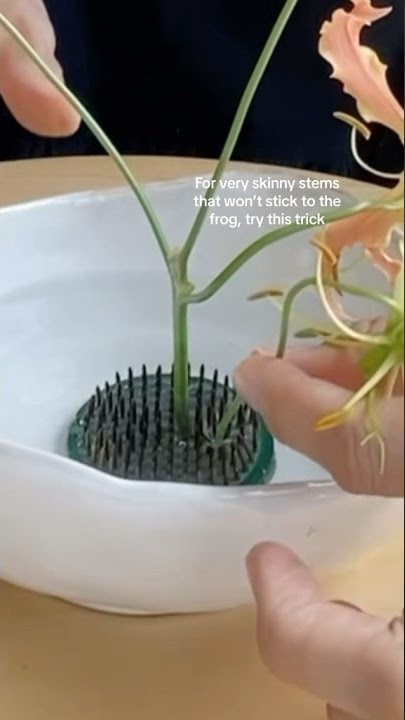 Pin frog arranging hacks you probably didn’t know #flowers #ikebana #flowerarranging #floraldesign