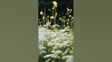 سورة الاعراف الشيخ عبدالله الموسى #القرآن_الكريم