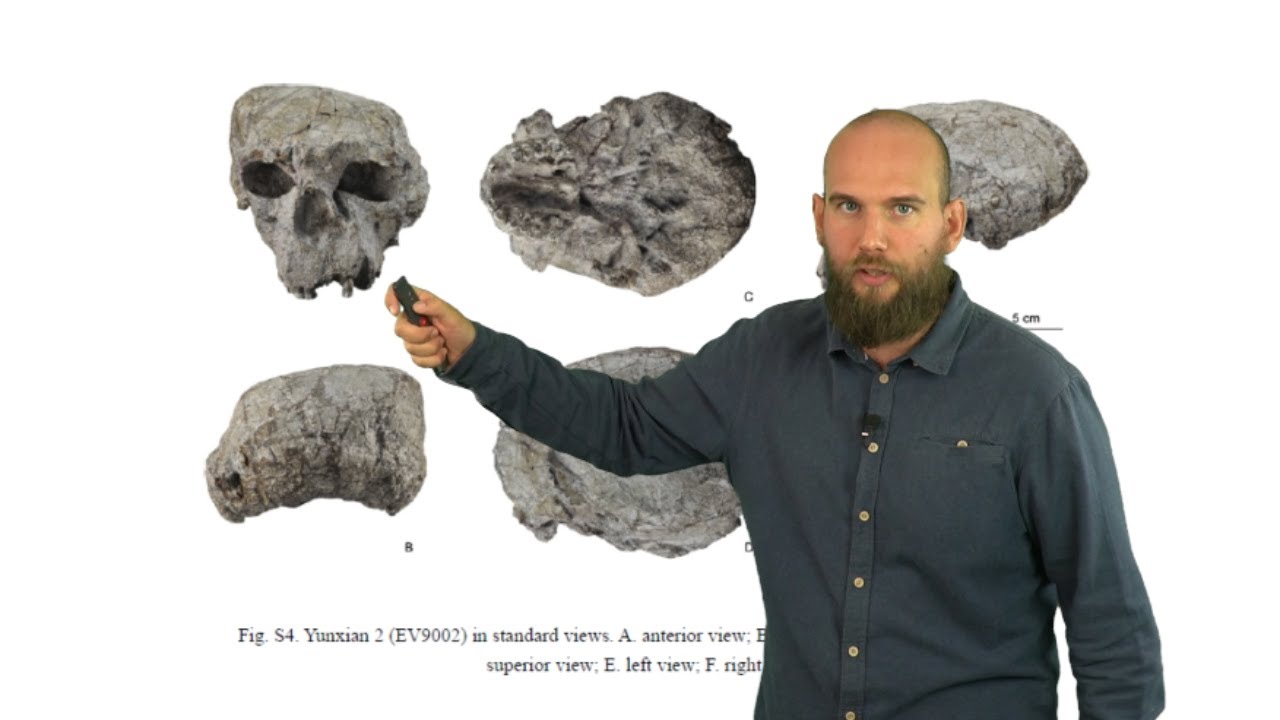 Homo sapiens ha origini cinesi... dicono alcuni scienziati