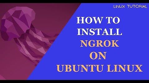 How to Download and Enable Ngrok on Ubuntu Linux