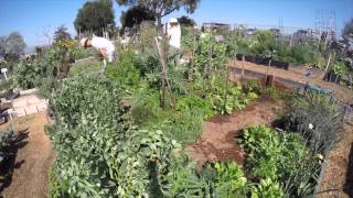 Erin's Organic Garden Feb. 2015 - Time Lapse