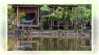 Tree House Cottages - Thailand Ko Chang