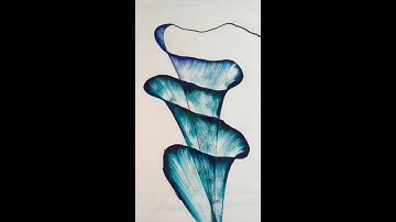 Dynamic String Prints