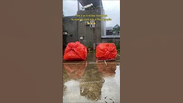 Tìm 2 xe ô tô bọc trong bạt bị nước lũ cuốn trôi ở Thái Nguyên 😥 #giaothong #thainguyen #chuyenla