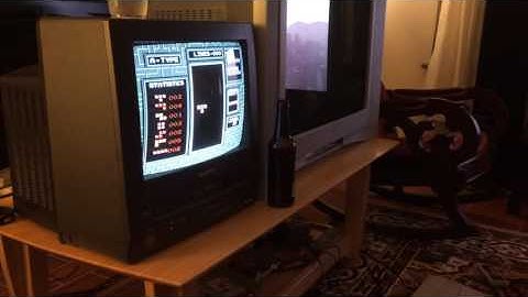 Koryan plays invisible Tetris and the people love it