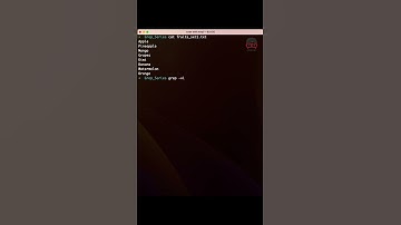 grep command with  v flag