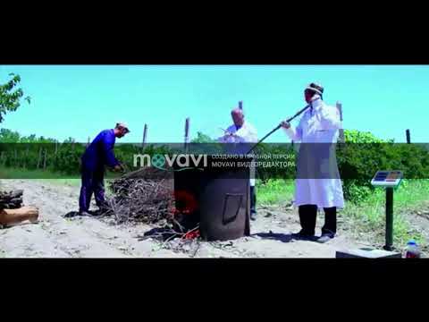 Video: Ohakli maysazorni davolash - hovlini qachon va qanday ohaklash kerak