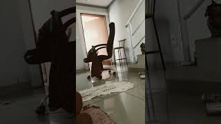 Baba Bebê Bebi Bibi Biba Bobo Bubu