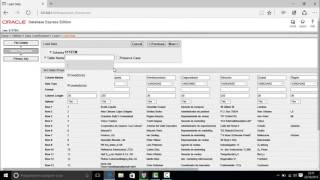 Tutorial de Oracle (como importar un archivo de excel a Oracle) Guide