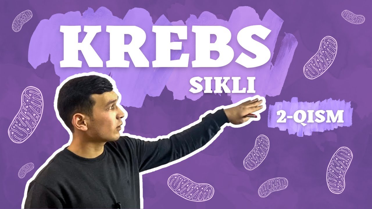 ᴋᴀʀʙᴏɢɪᴅʀᴀᴛʟᴀʀ | ᴋʀᴇʙs sɪᴋʟɪ | 𝟸-ǫɪsᴍɪ