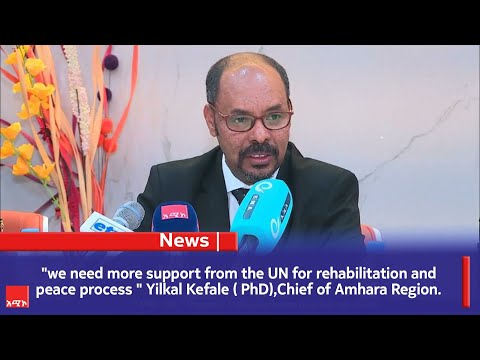 We Need More Support From The UN For Rehabilitation And Peace Process Yilkal Kefale PhD