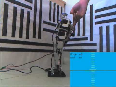 The robot stabilizes itself knowing the slope of its trunk. Pitch and roll angles are provided using only the omnidirectional sensor. No gyroscope or accelerometer are used. The robot is a Kondo KHR-1HV. Code is writing using C++, OpenCV and gtkmm. Matteo Finotto, Computer Science & Information Engineering, University of Padua. IAS-Lab - UniversitÃ  degli Studi di Padova. IT+Robotics srl, Spin-off dell'UniversitÃ  degli Studi di Padova Humanoid Gait Stabilization based on Omnidirectional Visual Gyroscope - www.ais.uni-bonn.de IT+Robotics - Humanoid Robots - www.it-robotics.it IT+Robotics - Omnidirectional Vision - www.it-robotics.it