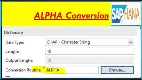 What is Alpha Conversion in SAP BI Modeling | The use of Alpha Conversion routine in SAP HANA