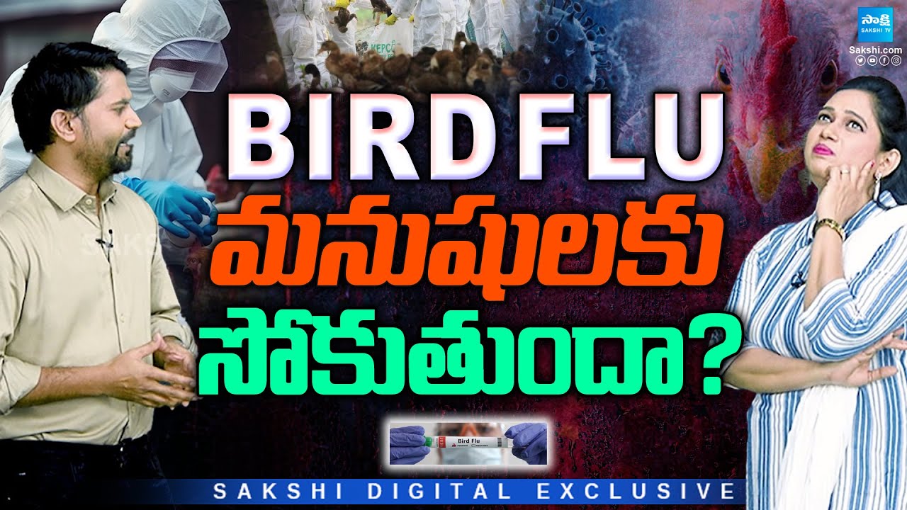 Bird Flu Cases: Can Bird Flu Infect Humans? Facts You Need to Know ...