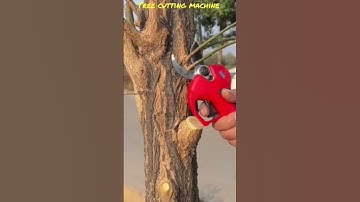 Tree cutting machine #shorts #ytshorts
