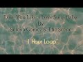 Love You Like a Love Song Baby by Selena Gomez&The Scene |1 Hour Loop love you like a love song baby
