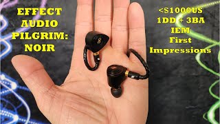 Effect Audio Pilgrim: Noir - Under $1000 1DD + 3BA IEM First Impressions