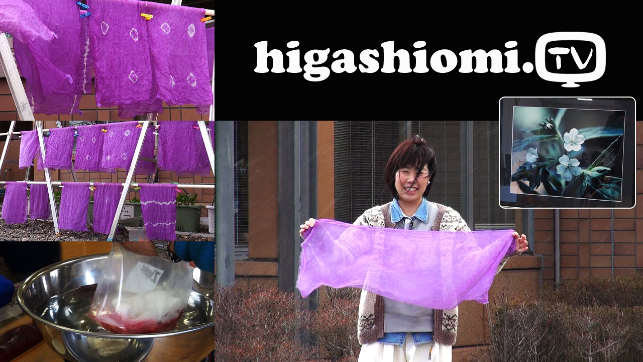 higashiomi.TV #59☆「ムラサキ」で染色体験をリポート - YouTube
