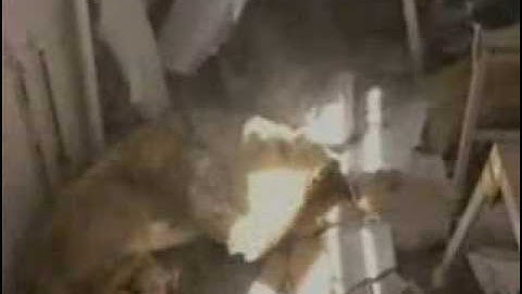 3d visual planning - love the place your in - part 1