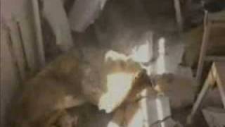 3D Visual Planning - Love The Place Your In - Part 1