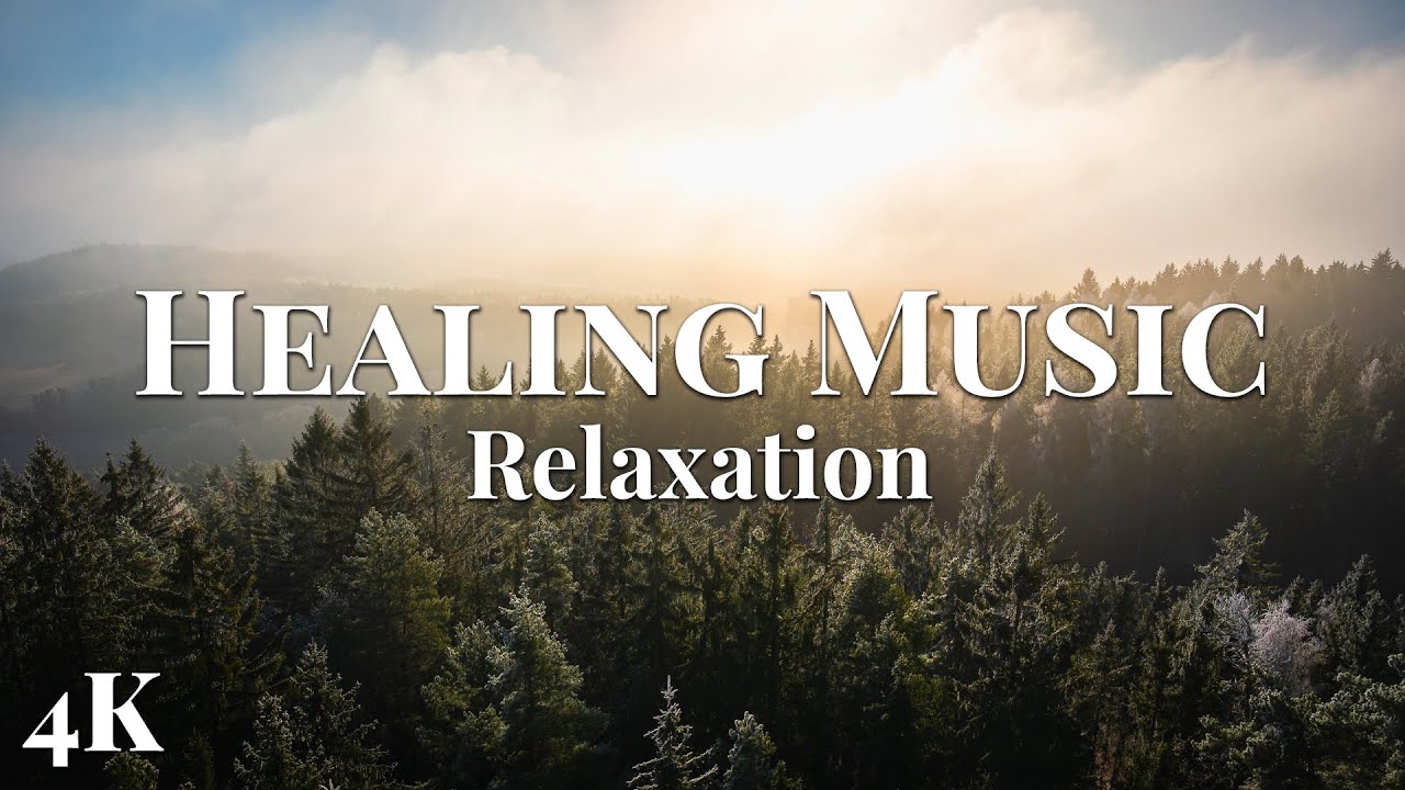 Relaxing Peaceful Music, Beautiful Misty Forest ✨ Calm Your Mind, Body & Soul