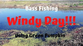 Bass Fishing - Windy Day using Green Pumpkin Lures!!!