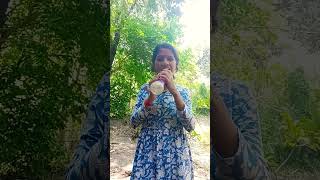 Wow Smart Idea And Useful Inforest