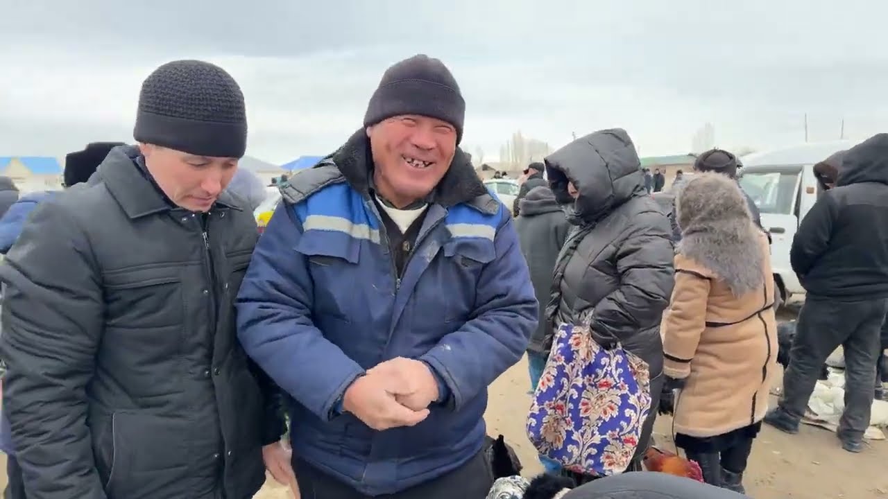 1-МАРТ/2026/ШЫМБАЙ ТАУЫК БАЗАРЫ/ТАУЫК БАЗАР 2026/ДЕМ БЕРМЕС ТАУЫК БАЗАР