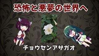 どうしてチョウセンアサガオは キチガイナスビと呼ばれるのか Youtube