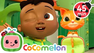 this is way cody time kids learning skills sing along nursery