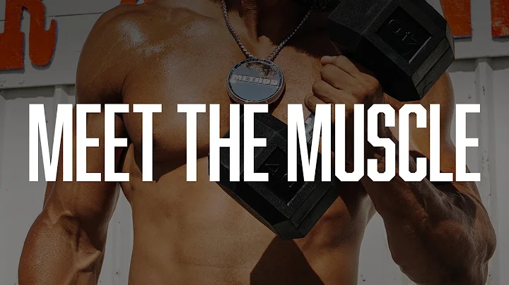 MEET THE MUSCLE - INTRODUCING THE 709 HD BEAD GRIP